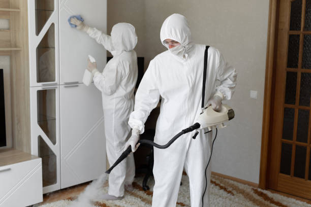 Mold Removal Process in Blue Springs, MO