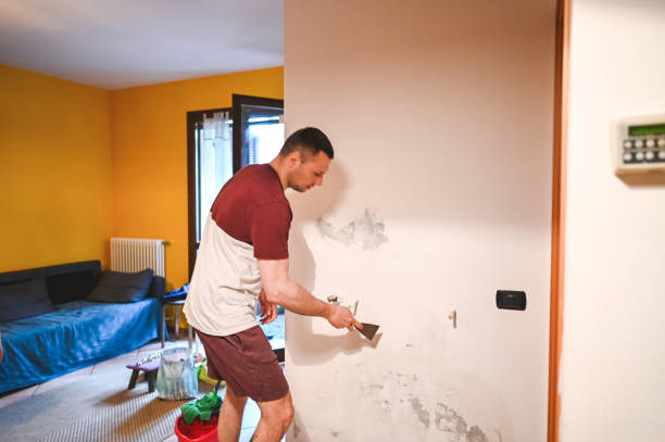 Best Local Mold Removal Service  in Blue Springs, MO